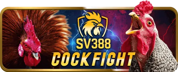 Quản lý tài khoản VIP riêng fh88 casino